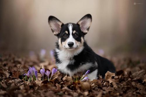 27280126 3790186ed9b5f95f48a5ce7213317c50 xl