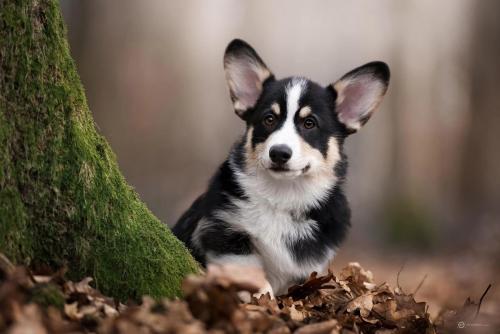 27280128 057885bc19a0c82135361064d3de4851 xl