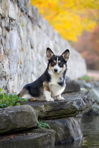 468525095 10235943564948659 75466540776950554 n