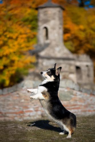 468569232 10235943565468672 8331422822565441992 n