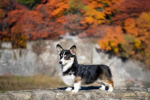 468654048 10235943565788680 8511235211375568304 n