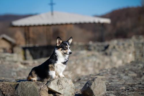 468663224 10235943566028686 855115430813793378 n