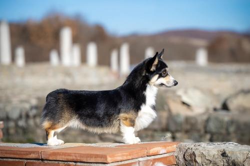 468818727 10235943565588675 6627256572593707223 n