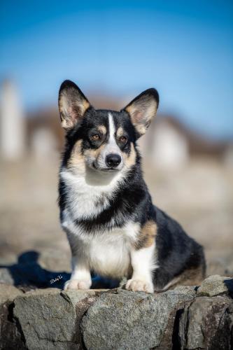 468865913 10235943566228691 3414057519980254949 n