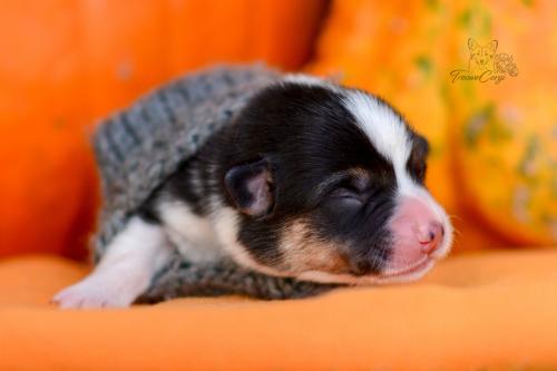 27248842 68601f633adc02b899addd3905f0000f xl