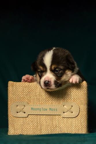 27251558 3e2bea775d529dba2912d90541b06ba9 xl