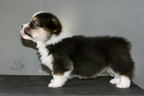 27259412 f8a60f4b43b2e782665bfc9544181880 xl