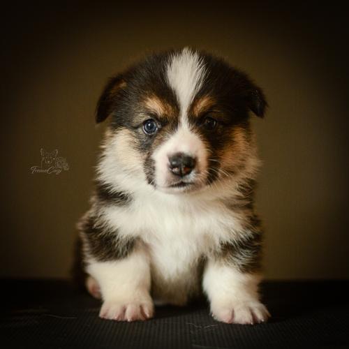 27259414 c933f7a046a0d077fc365e1875b4672d xl