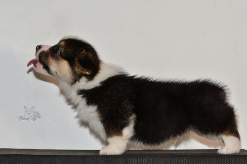 27259448 27c049c8446b6d05e65dacf59d79d368 xl