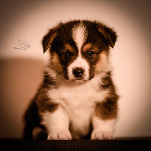 27259450 80f9e0b81175345390efe58ce5f2a0a0 xl