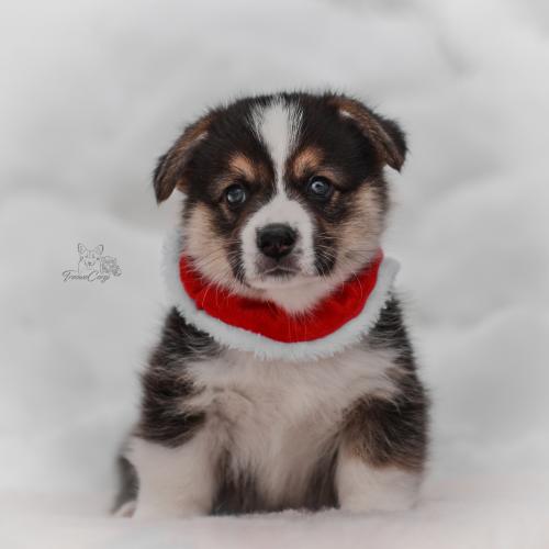 27259462 4db921fa2de659f33584f28f106d46a3 xl