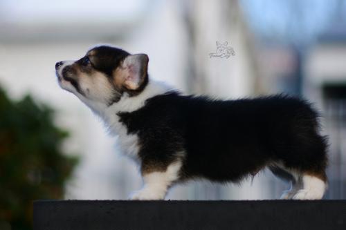 27259468 e631c07f9e55b113c77c071521f266f3 xl