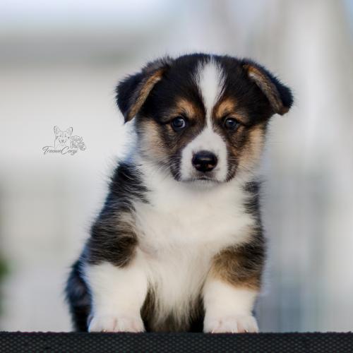 27259470 2aeedca8d148064a0ad860f3ef5cb70e xl