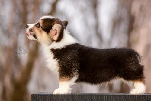 27260616 a4d57136db69bef6a90b0bfd83eab252 xl