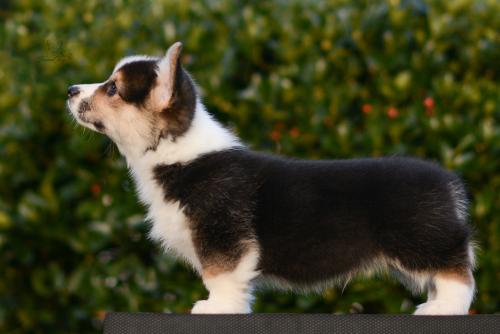 27261808 41bb1992813456e169c69c8989421c6b xl