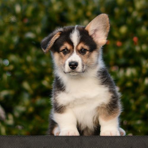 27261810 ab96f2a41b26feff30c4cc4e14819442 xl