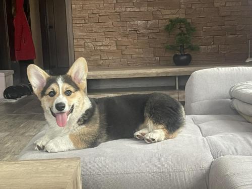 27280144 5454cbfe4e3ae6ca4e40b96f5a7f2f08 xl