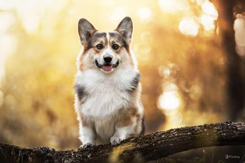 462536971 436144669504190 9170926232726345964 n