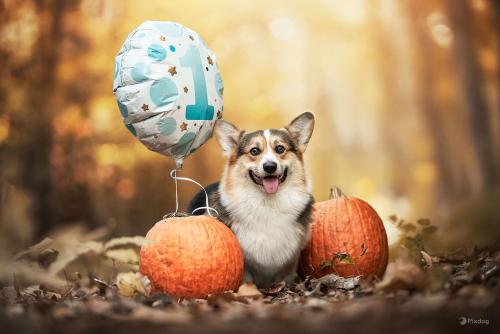 462560004 998616188689838 9146318303840639042 n