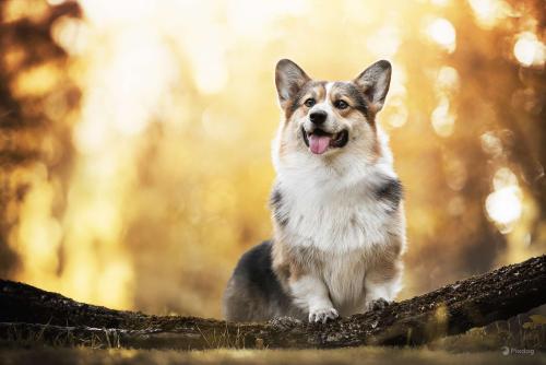 462573132 569356282312062 3435535839144098639 n