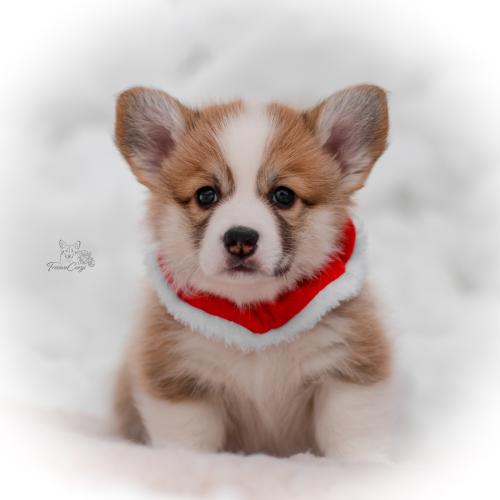 27259454 01f3680e02bd4c97248a2b3c66eb750a xl