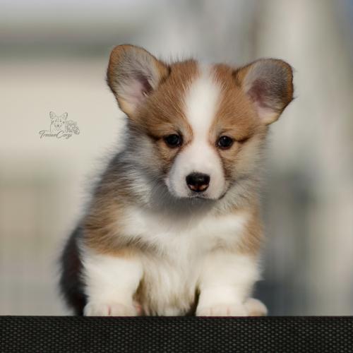 27259478 10117a520a1b11848fbe718ad00685b7 xl