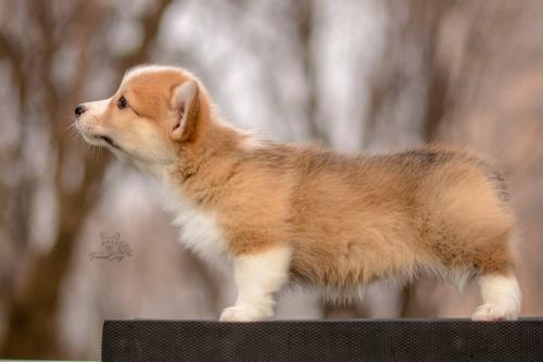 27260600 57a448fab6d76460bb3d1ac02697fac5 xl