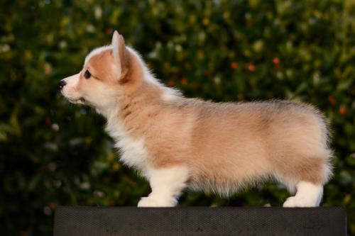 27261792 3dce3bf06746bcb57cd92e1b6f3bbd03 xl