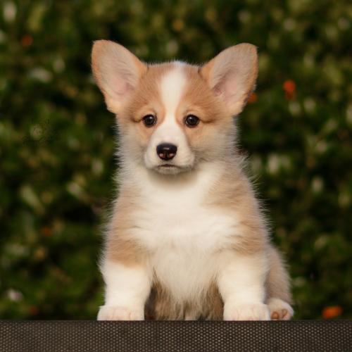 27261794 360cf24dae0268386ee5b618d7d0eba8 xl