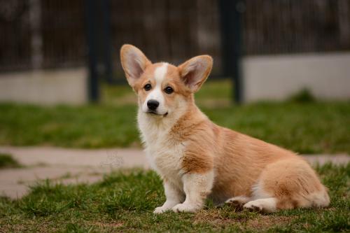 27280140 c905f9bf5b8146252448270c114670b0 xl