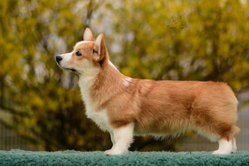 27290270 5e7ccbec7962fa933eefdd364283f8a2 xl