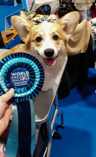 27294586 2017321e52590d6b1d53156753415123 xl