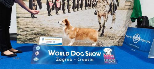 27294588 ae0f5606227fe2c8879ccd79d6a2957d xl