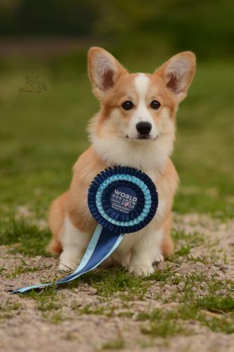 27294596 74d3d826ce873cf72b136c96bf55e48c xl