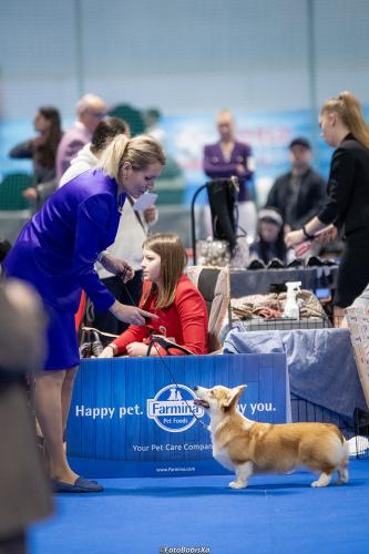 27294600 eaea53851187e07914ee34f7b399a055 xl