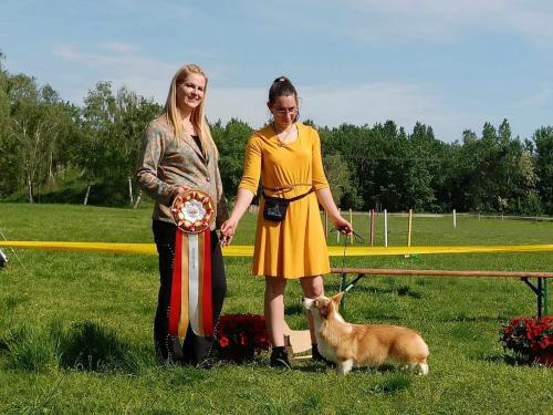 27294602 53df3afa25fea614b42d78a96911ef3f xl