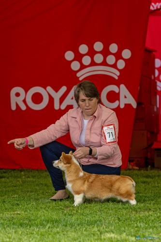 27308096 e2eeafde32e1f8d8e0b0ae81e79b8b2b xl