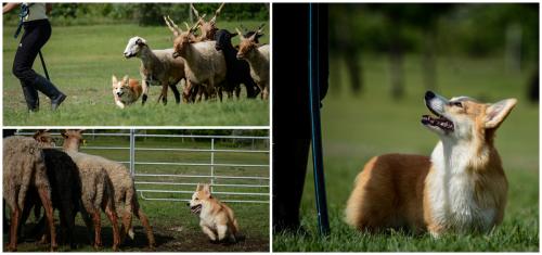 27308662 727610c113f300b68288efc1542ced61 xl