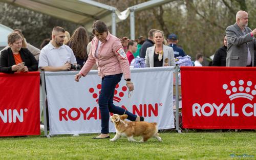 27309616 5cc75294fdb6a510d349db87cc4d9178 xl