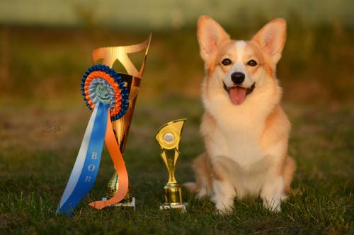 27346556 02b8aee6c26609b850ce8c4c1c715abd xl