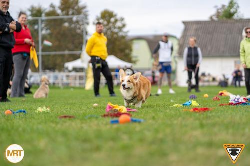 27346558 8198fcadbbb807273a26f27427fa8397 xl