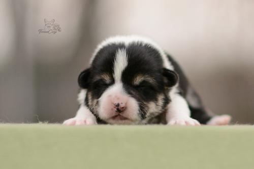 27272034 e3e55d7484502d17f2824d7781b7fda2 xl