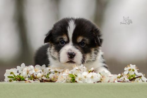 27280164 23bc2e0cf6d6c3da488567ebd575a110 xl