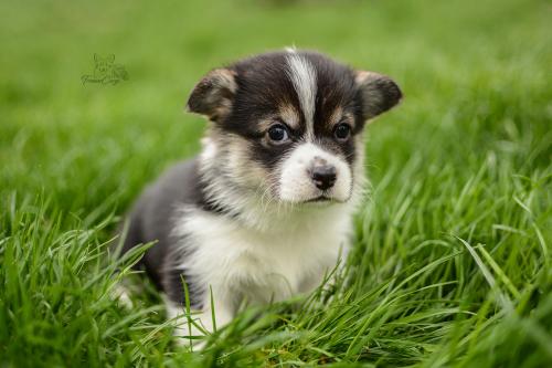 27280166 f507228917afaff53f70dd2e76b4f3b2 xl