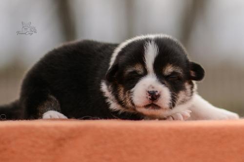 27280168 308f0381240cfc3f1209bc2e78b94a17 xl