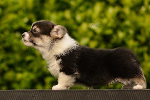 27282156 5c5513dfe7c8f5cf27f15478ac18af1b xl