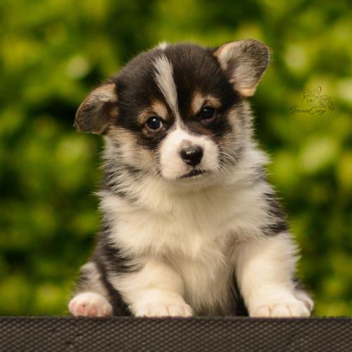 27282158 987c1bd36dceeaf311e92bcc655d89cc xl