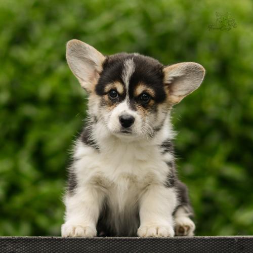 27290296 8646f96c866ba9e94eeb44382e237780 xl