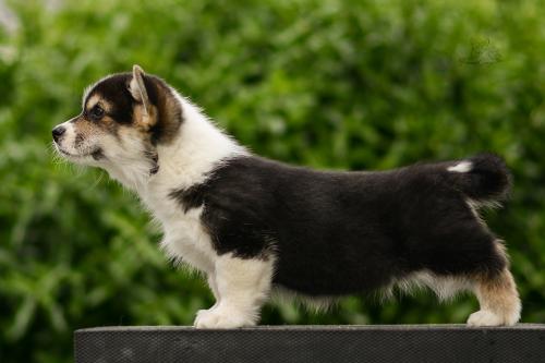 27290298 6cef52e6f5eab3c0fd4028bc9e5f323c xl