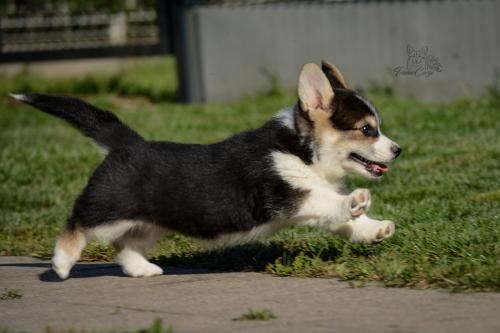 27290308 484fb31022e862d575322acf27e3c07f xl